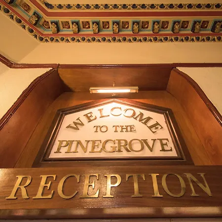 Pinegrove كارلايل