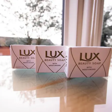 Pinegrove 호텔 칼라일