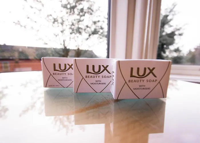 Pinegrove فندق كارلايل